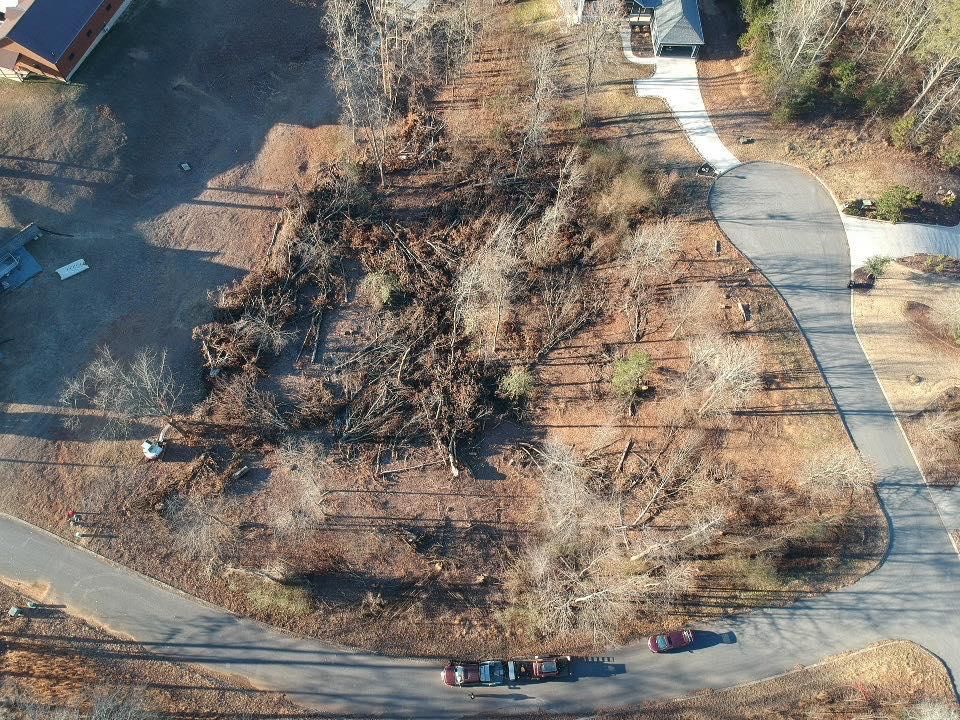 Tree Removal for Leal’s Lawn Service in Dayton, TN