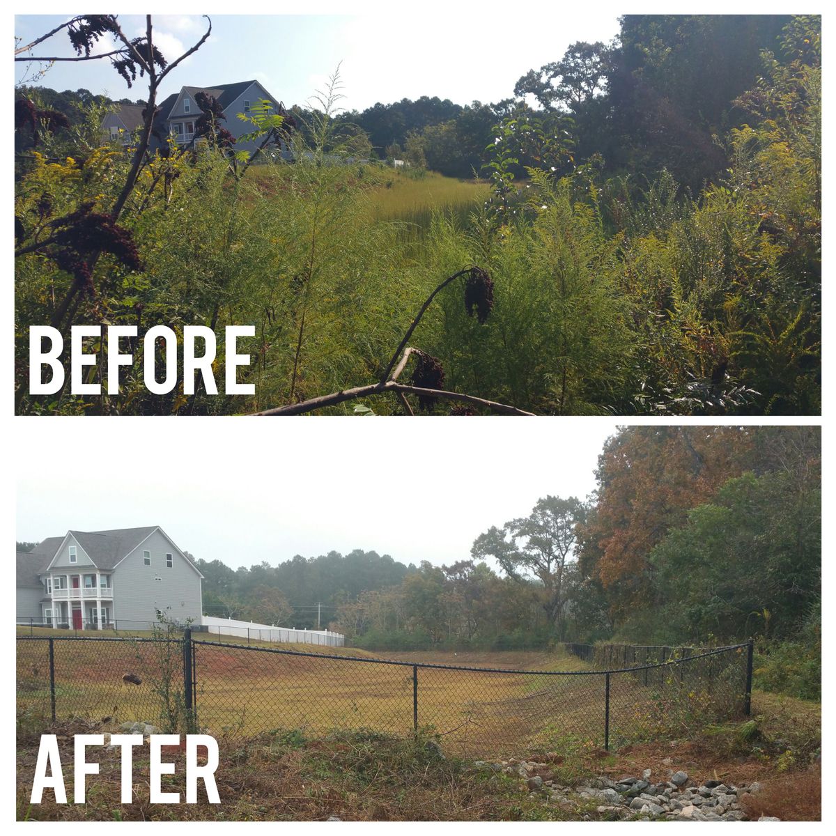 Fence Line Maintenance for Fayette Property Solutions in Fayetteville, GA