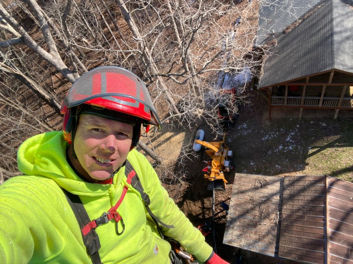 Tree Removal for Pinedown LLC in Cherokee County, GA
