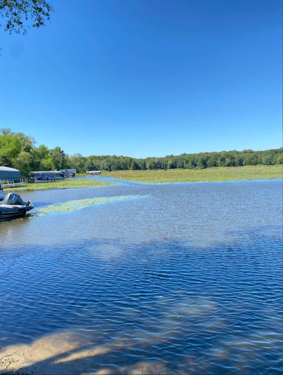 Weed Removal for JT’s Underwater Landscaping in Brainerd, MN
