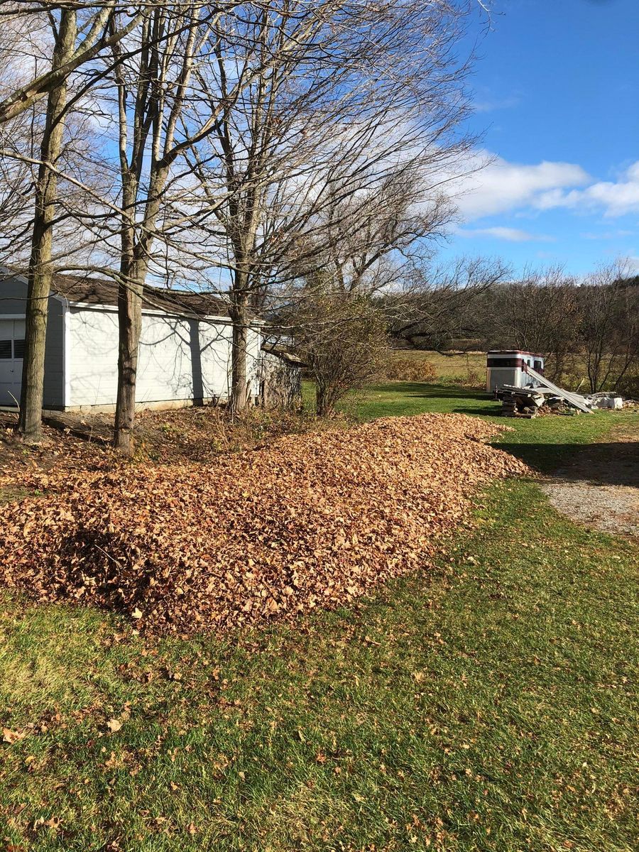 Seasonal Cleanups for Levi Allen Lawn Care in Rutland County, VT