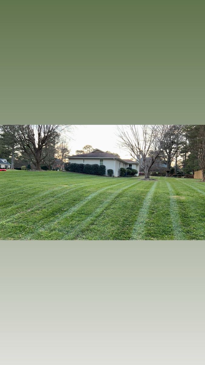 Lawn Fertilization and Weed Control for Massey Landscaping in Gastonia, NC