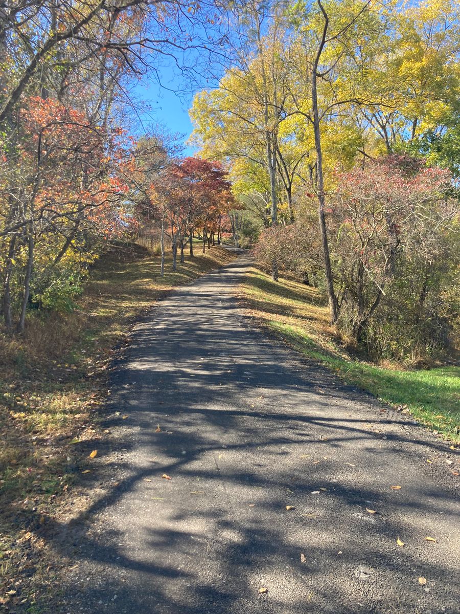 Driveway Regrading for 9999 Building and Renovation LLC in Warrenton, VA