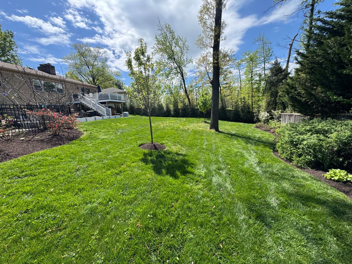 Lawn Care & Maintenance for R Merkli Inc. in Mount Vernon , VA