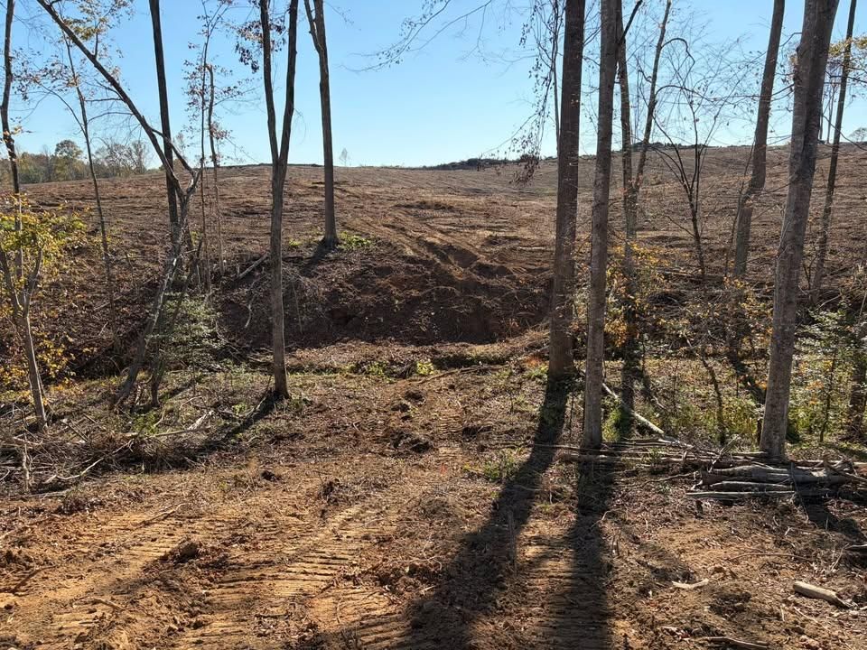 Forestry Mulching for Cedar Point Land Management in Richmond, VA