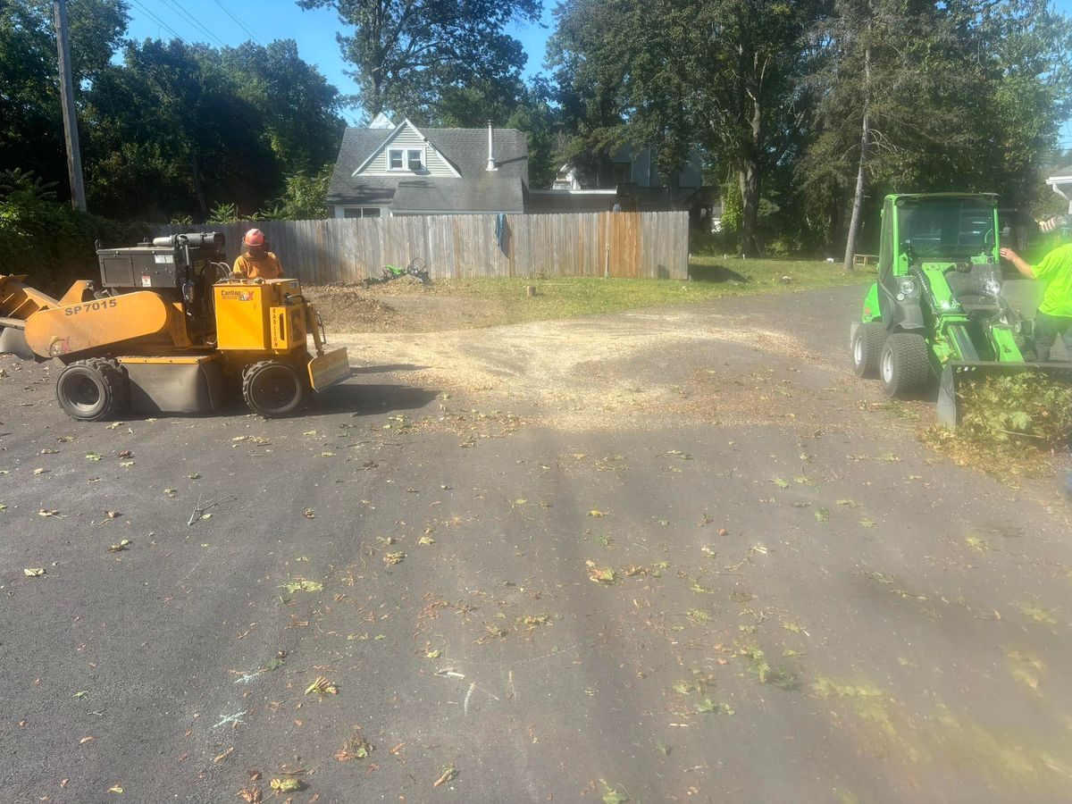 Stump Grinding for T's Trees in Albany, NY
