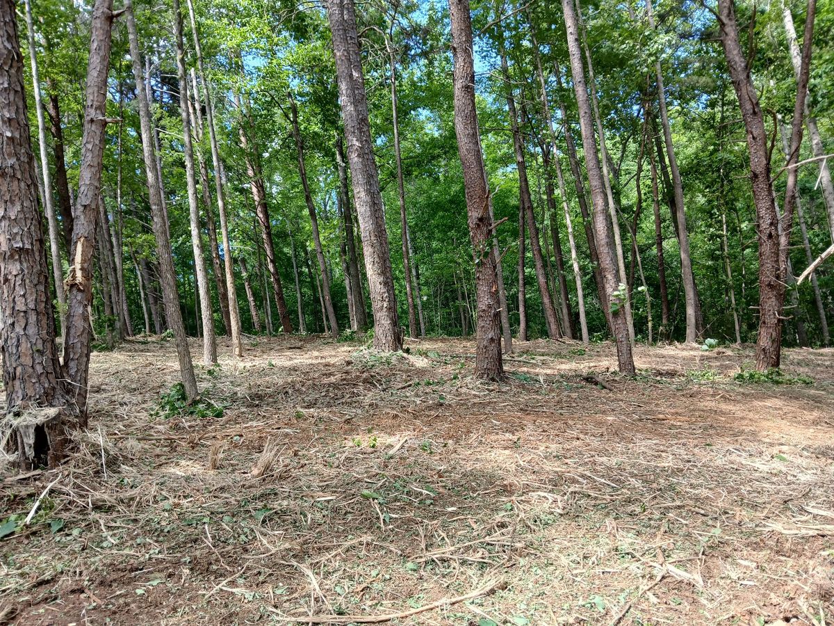 Forestry Mulching for Whiskey Ridge Mulching & Land Services in South Boston, VA