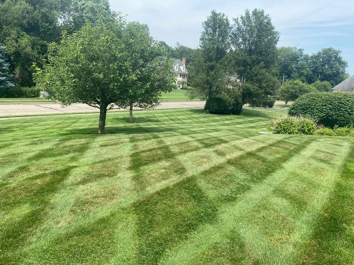 Lawn Maintenance for Stevenson Property Maintenance in Cheshire, CT