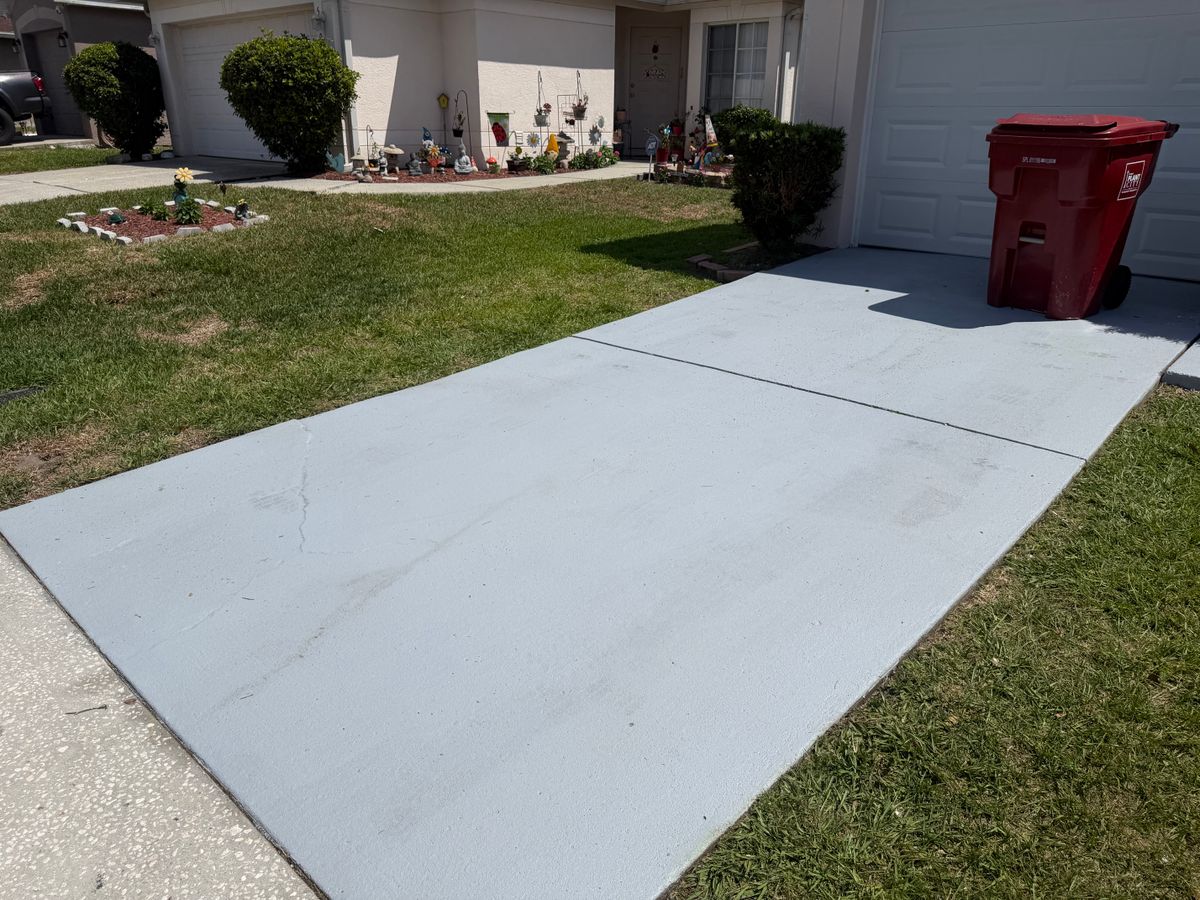 Lawn Maintenance for The Yardman in Tampa, FL