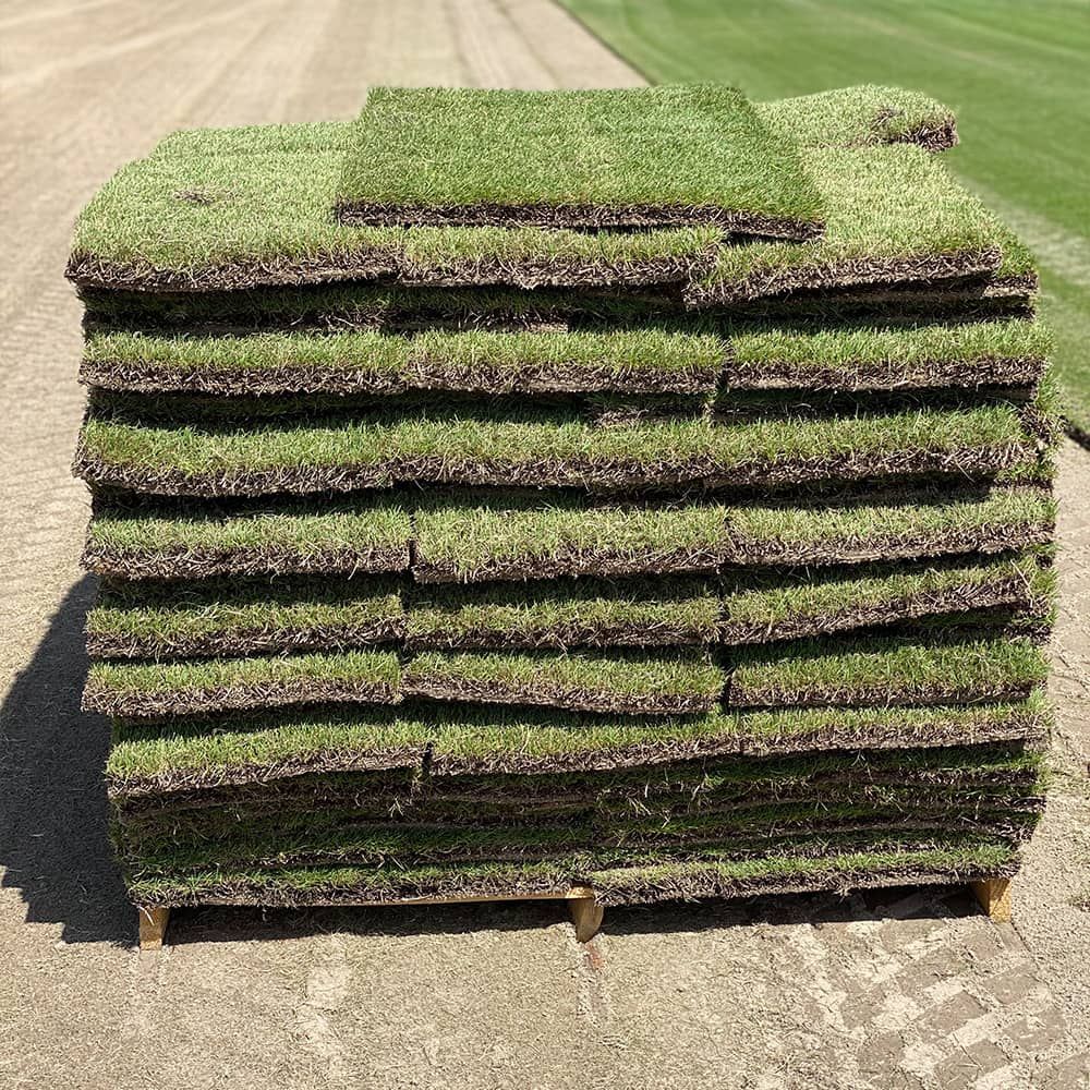 Sod Installation for Poarch Creek Landscaping in Santa Rosa Beach, FL