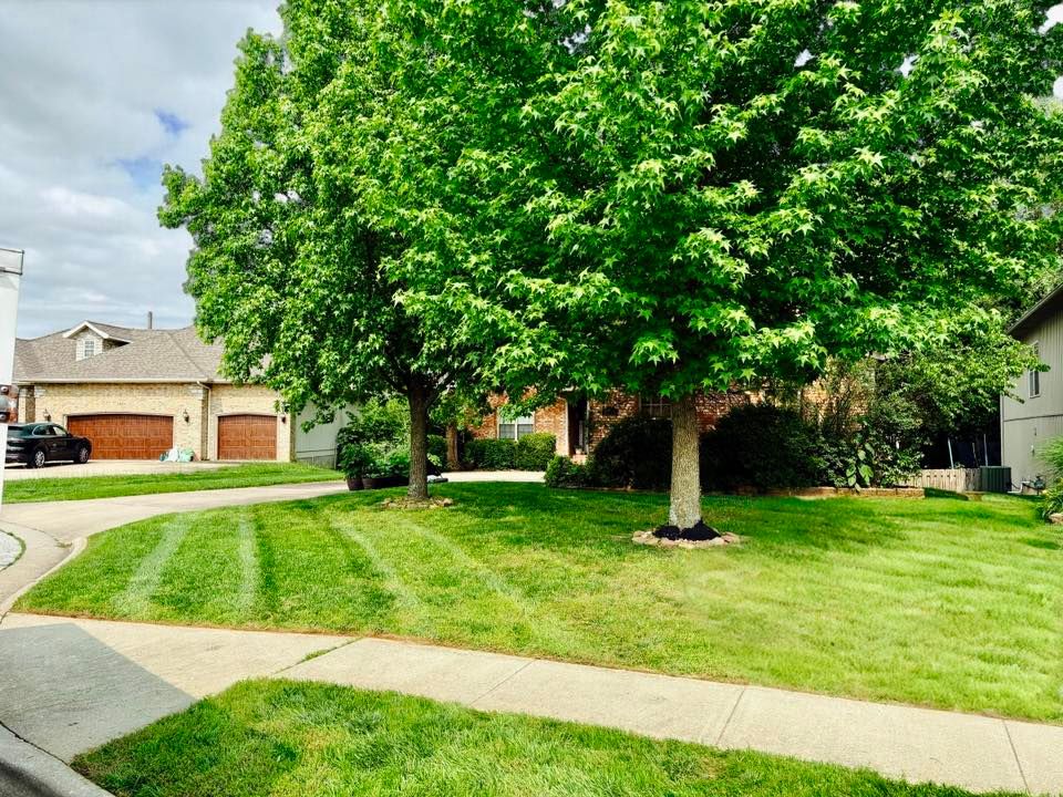 Tree & Shrub Care for Mowraculous in Republic, MO