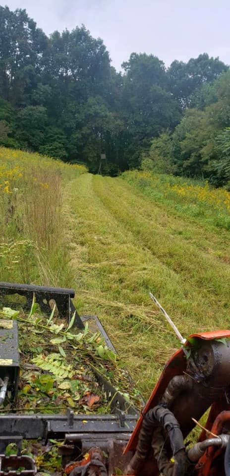 Other Services for Excavation Innovations in Rogersville, TN