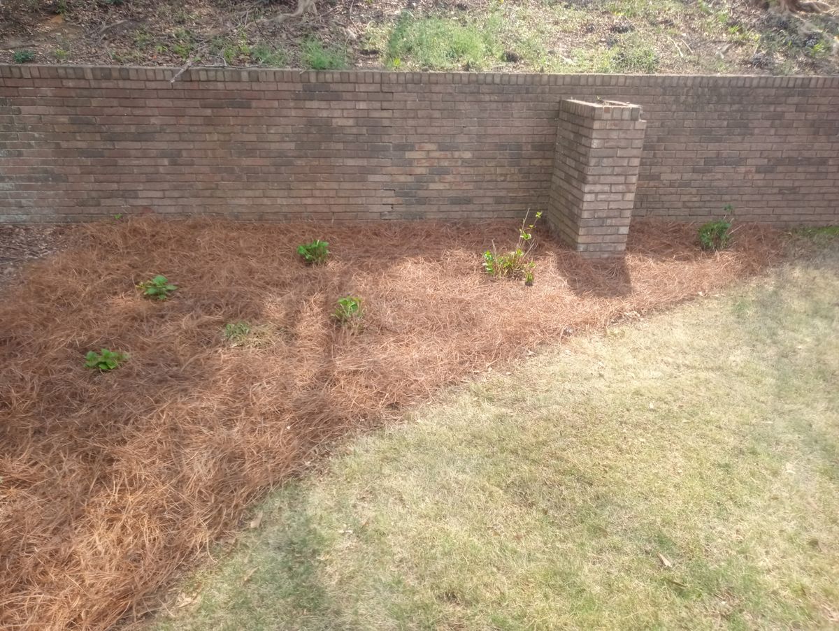 Landscape Design for Herring Lawn Care in Columbus, GA