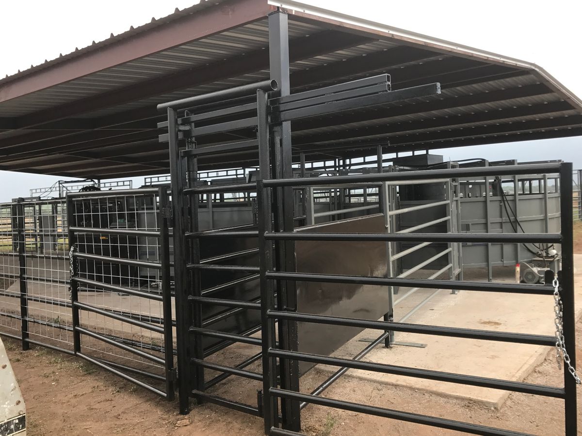 Cattle Pens for 5-7 Fencing & Construction in Madisonville, TX
