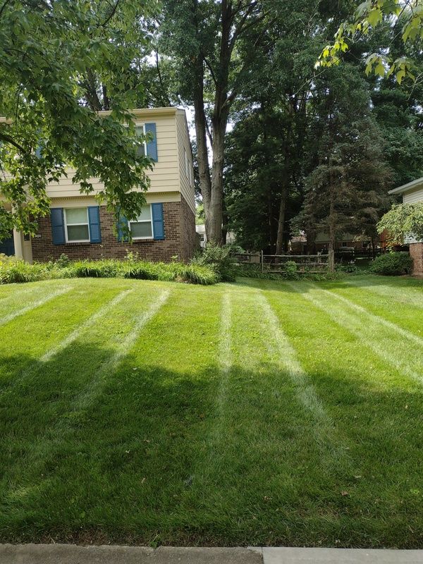 Lawn Maintenance for Green Shoes Lawn & Landscape in Cincinnati, OH