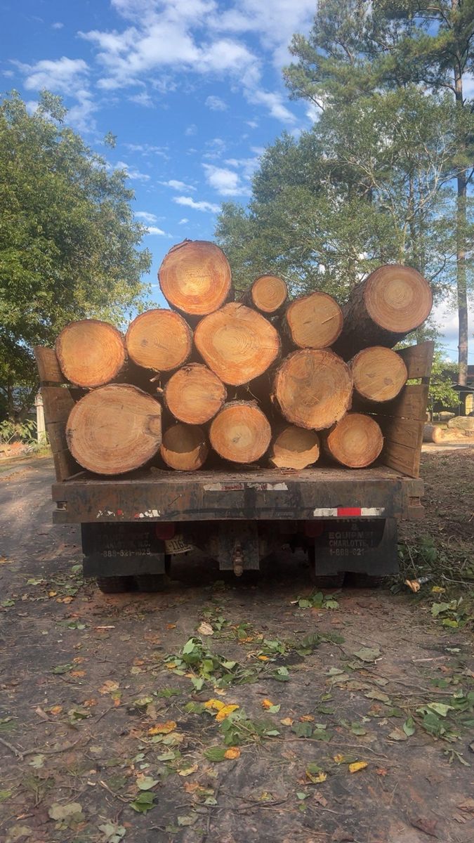 Fall Clean Up for Brooks Tree Service, LLC in Casar, NC