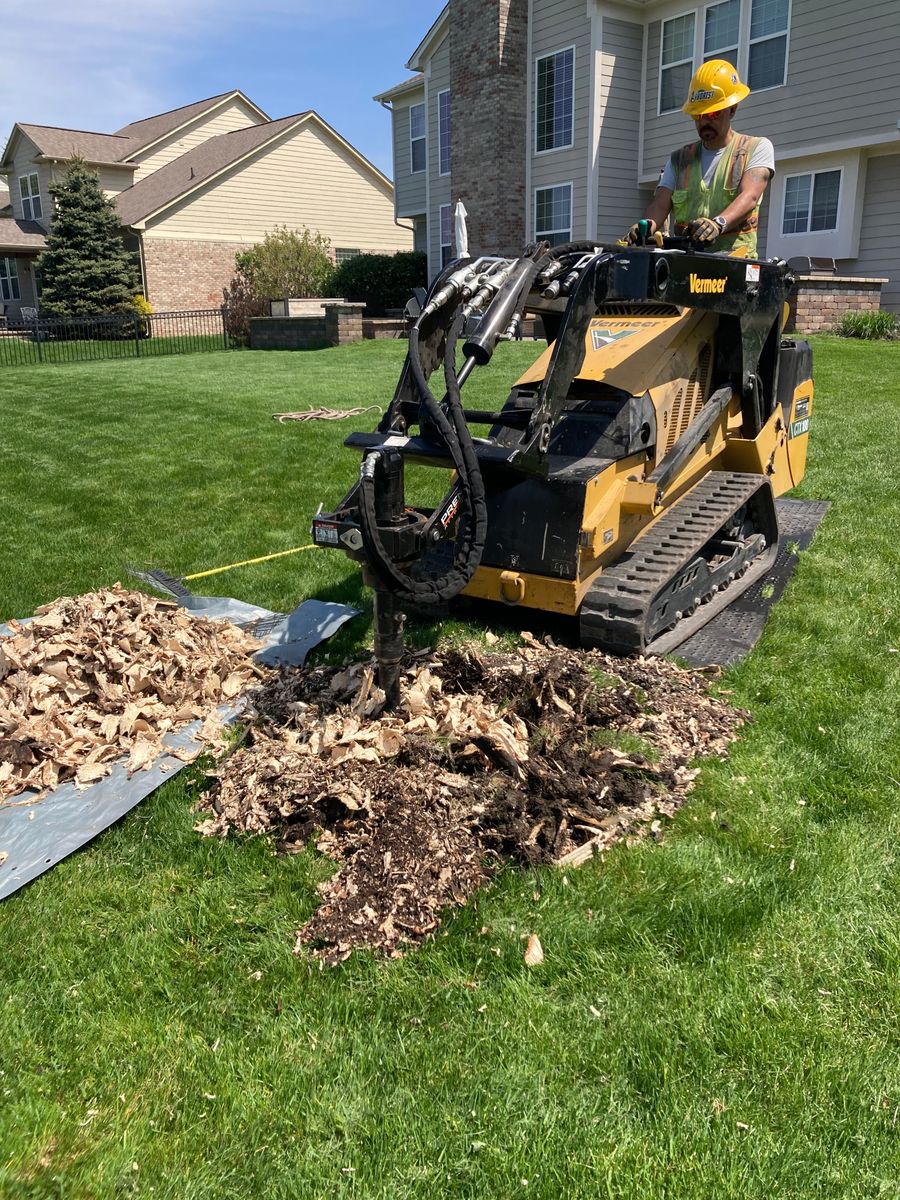 Stump Removal for Village Tree Service  in Whitestown, IN