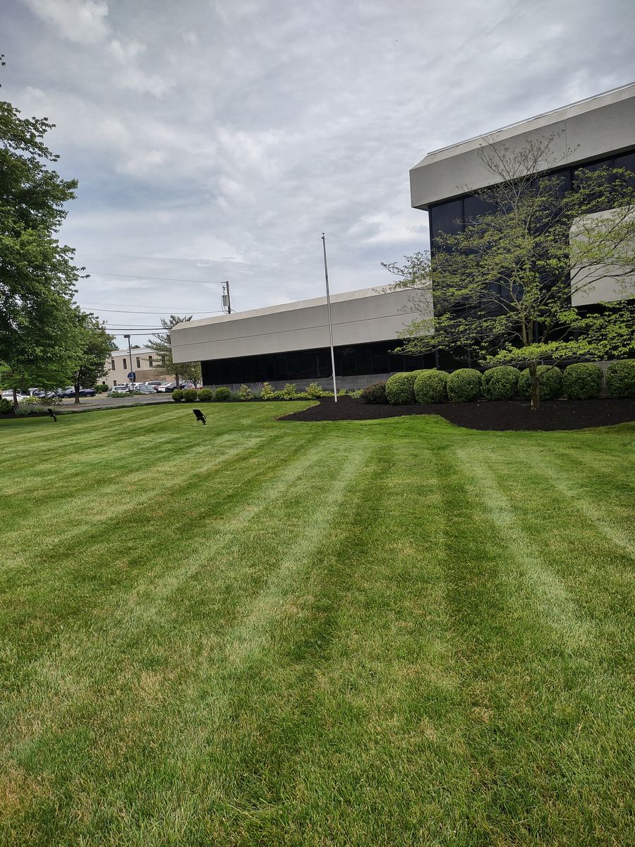 Property Maintenance for Ettere Landscape Services in Flemington, NJ