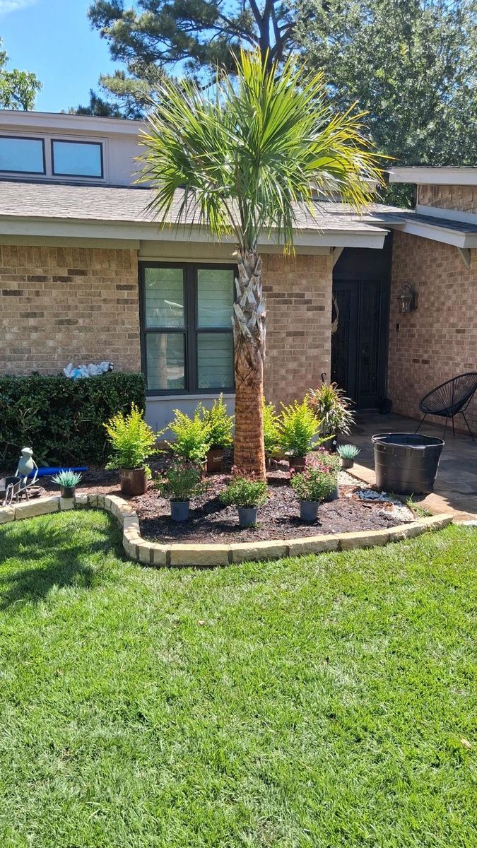 Tree & Shrub Care for Green City Landscape and Lawn Care LLC in Mesquite, TX