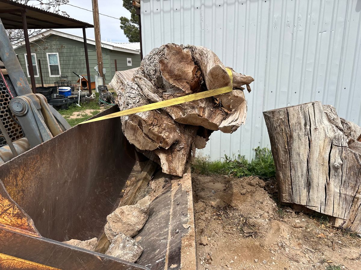 Stump Removal for Compas Cleanup in McCamey, TX