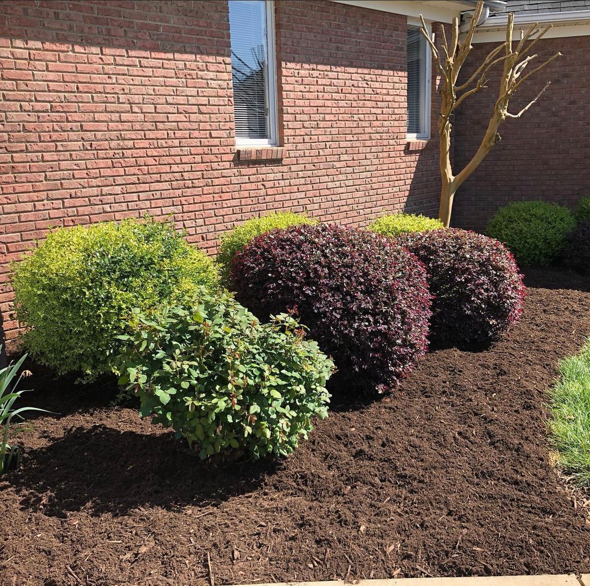 Mulch Installation for Grandview Lawn Care in Norwood, NC