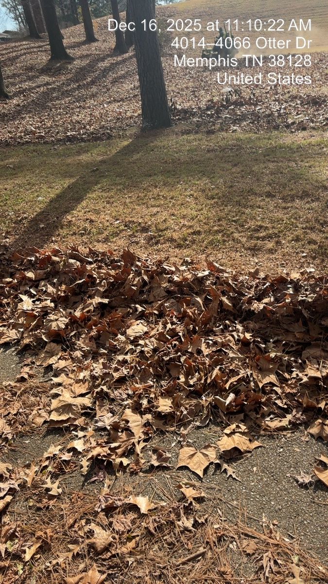Leaf removal for Kingdom Landscaping in Memphis, TN