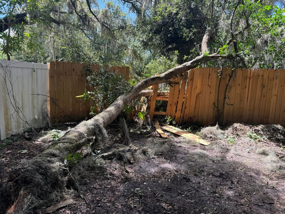 Tree Work for Native Land Management in Lakeland, FL