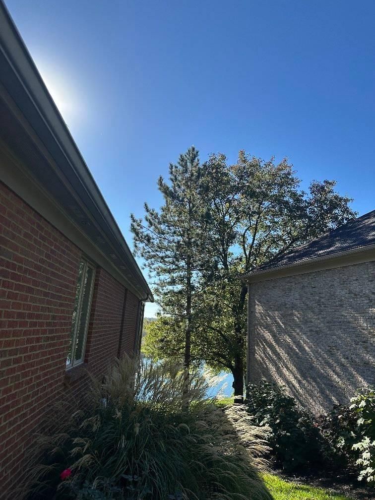 Tree Removal for Kingdom Tree Trimming and Removal LLC in Covington, KY