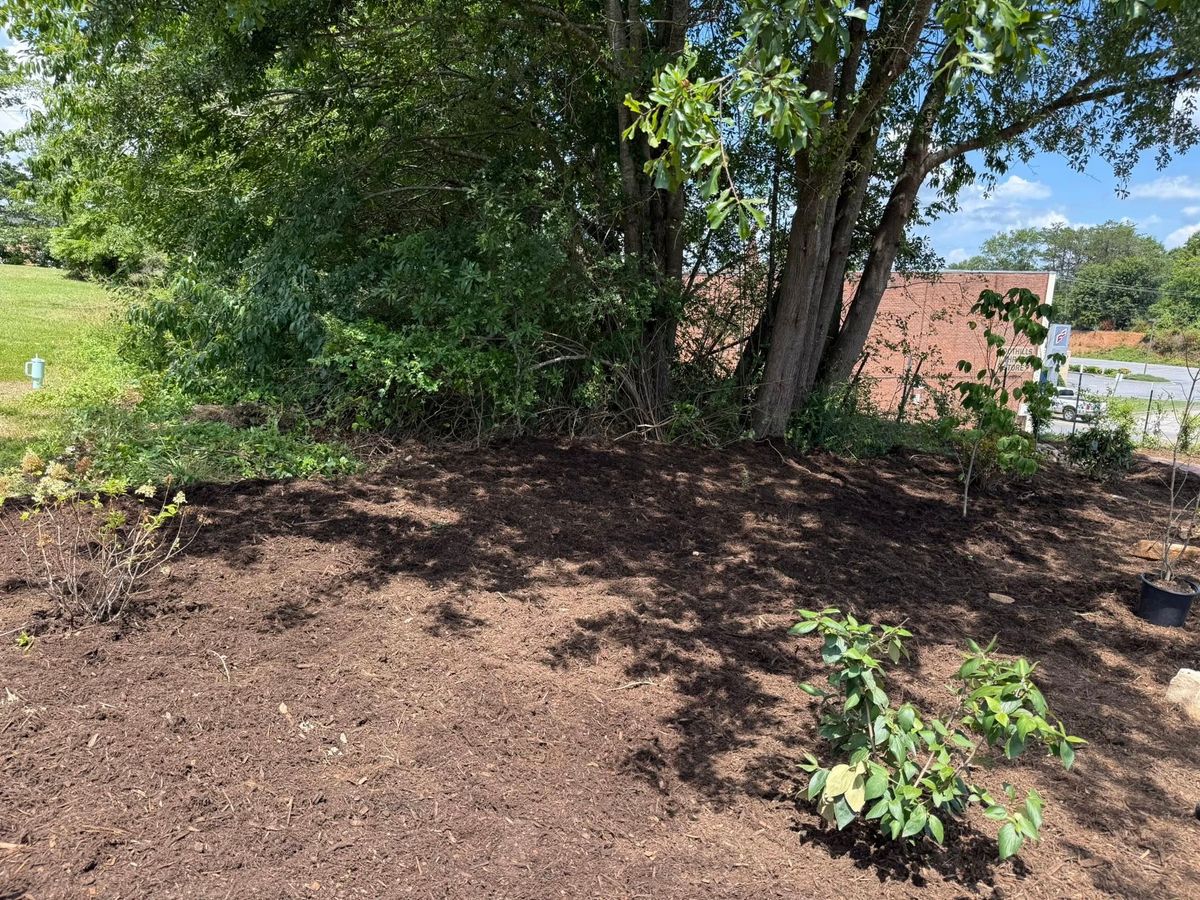 Landscaping for Quartz Creek LLC in Claremont, NC