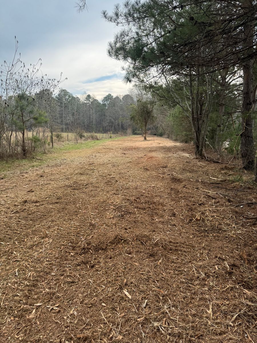 Forestry Mulching for KLNAX Enterprises Inc. in Social Circle, GA