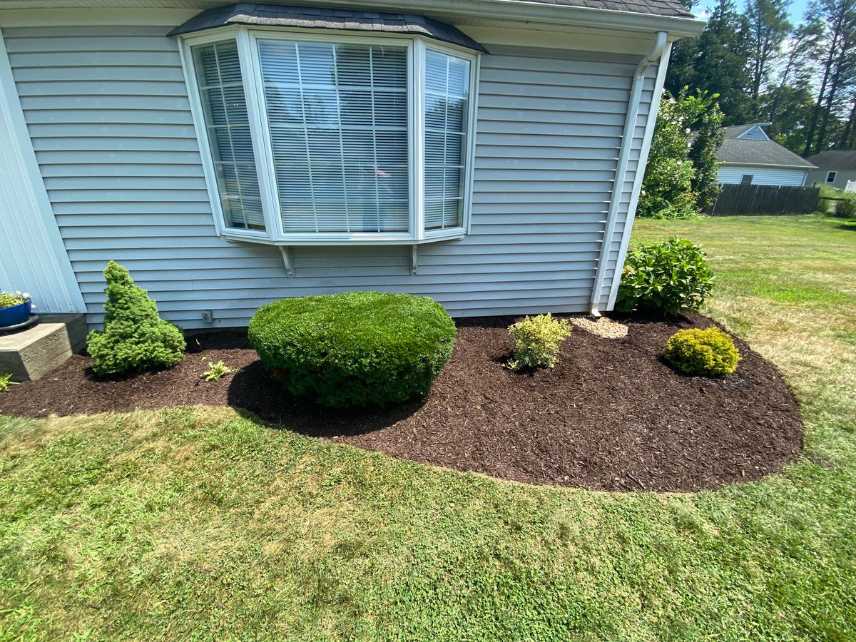 Tree & Shrub Care for Stevenson Property Maintenance in Cheshire, CT