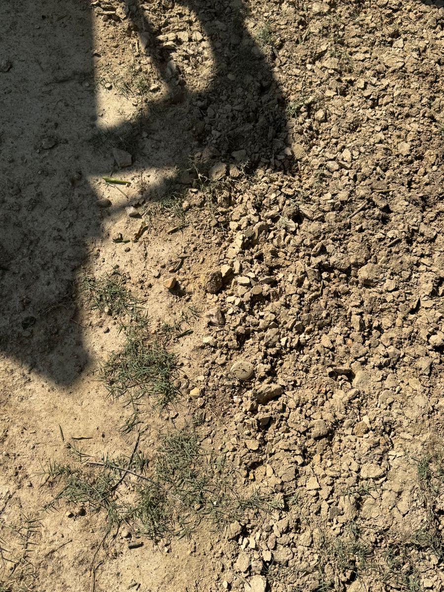 Lawn Aeration for Grandview Lawn Care in Norwood, NC