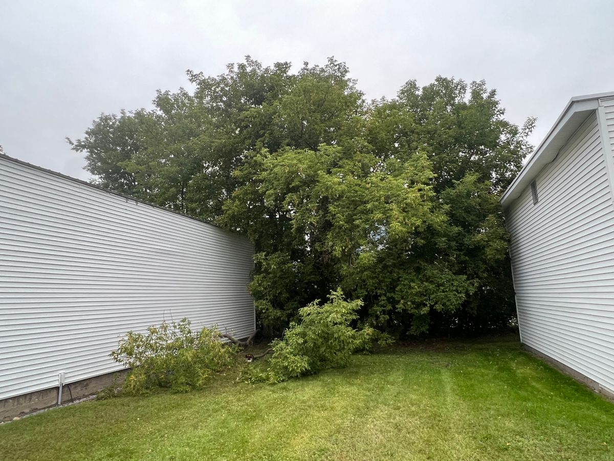 Land clearing - Brush hogging for Denicola’s Lawn Care in Oxbow,  NY