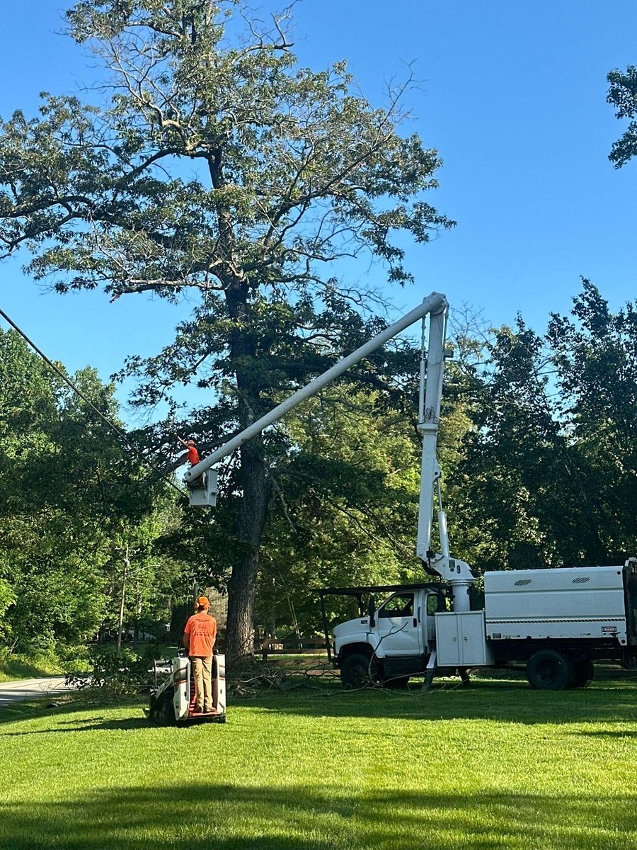 Tree Trimming for Greenskeeper Property Management in Elizabethtown, KY