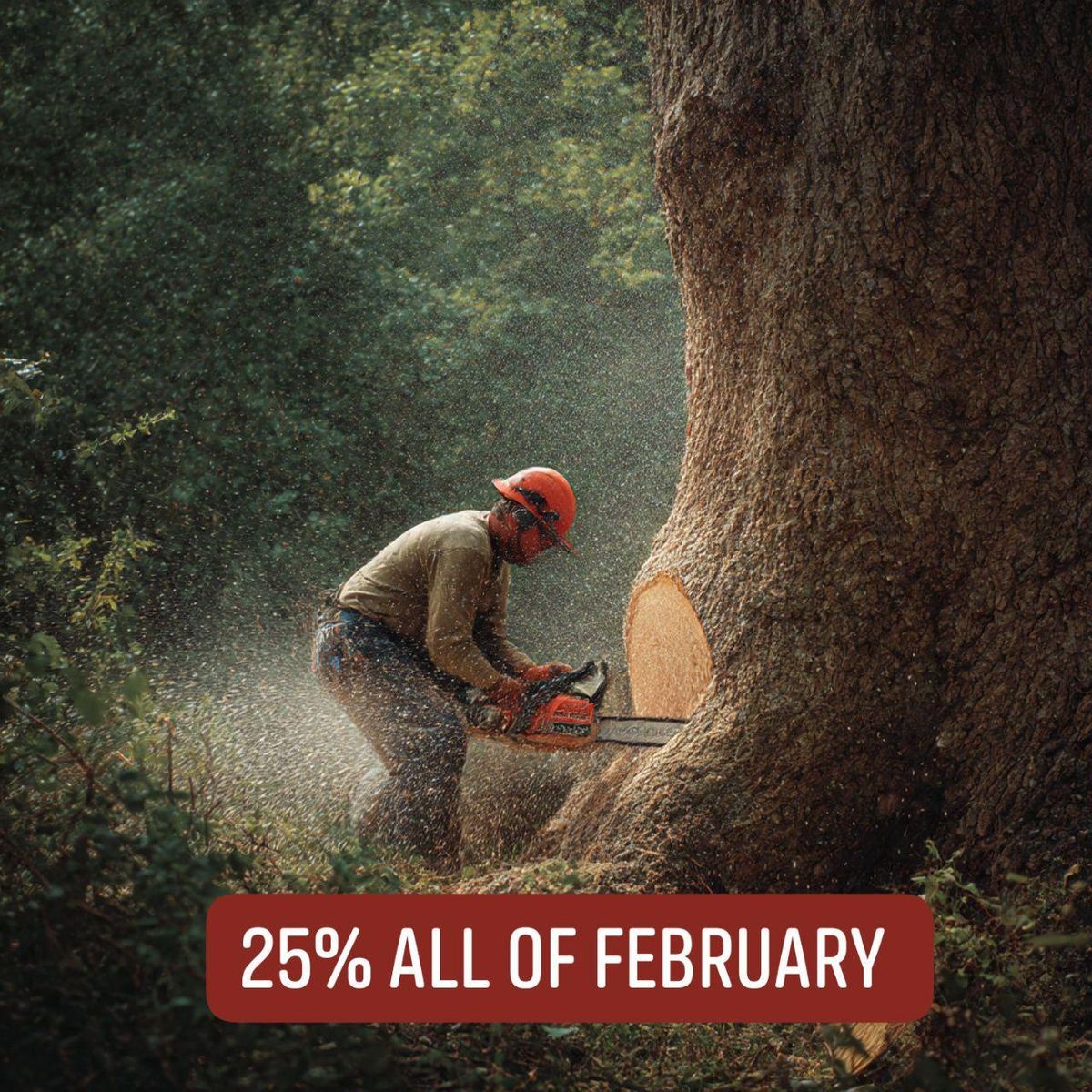 Tree Trimming for Asbell's Tree & Land Services in Gilchrist County, FL