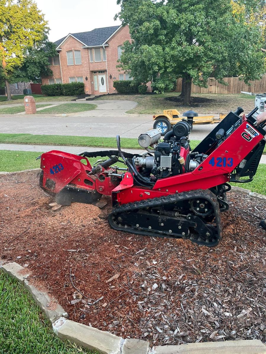 Tree Removal for Marks Tree Service in Fort Worth, TX