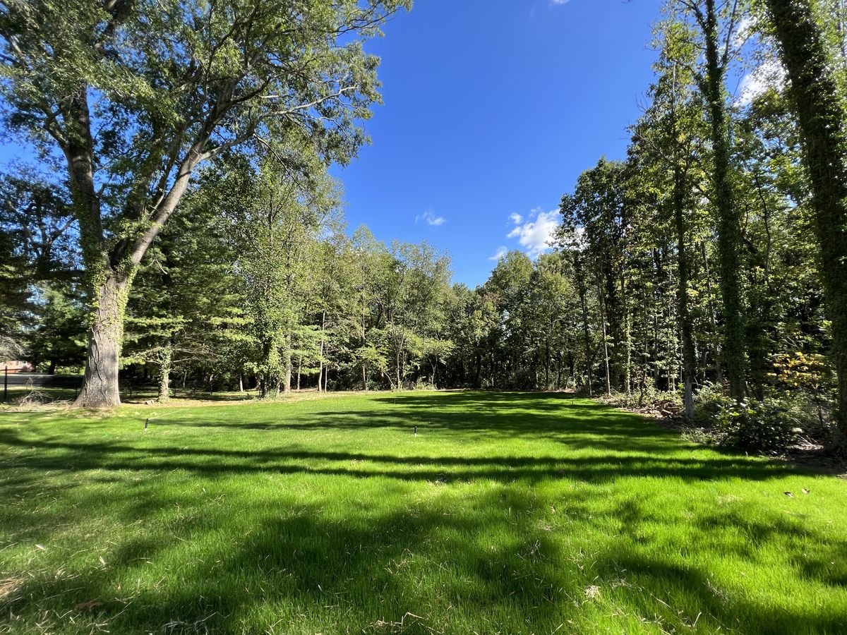 New Lawn Installation for Virginia Yard Pros in Appomattox, VA