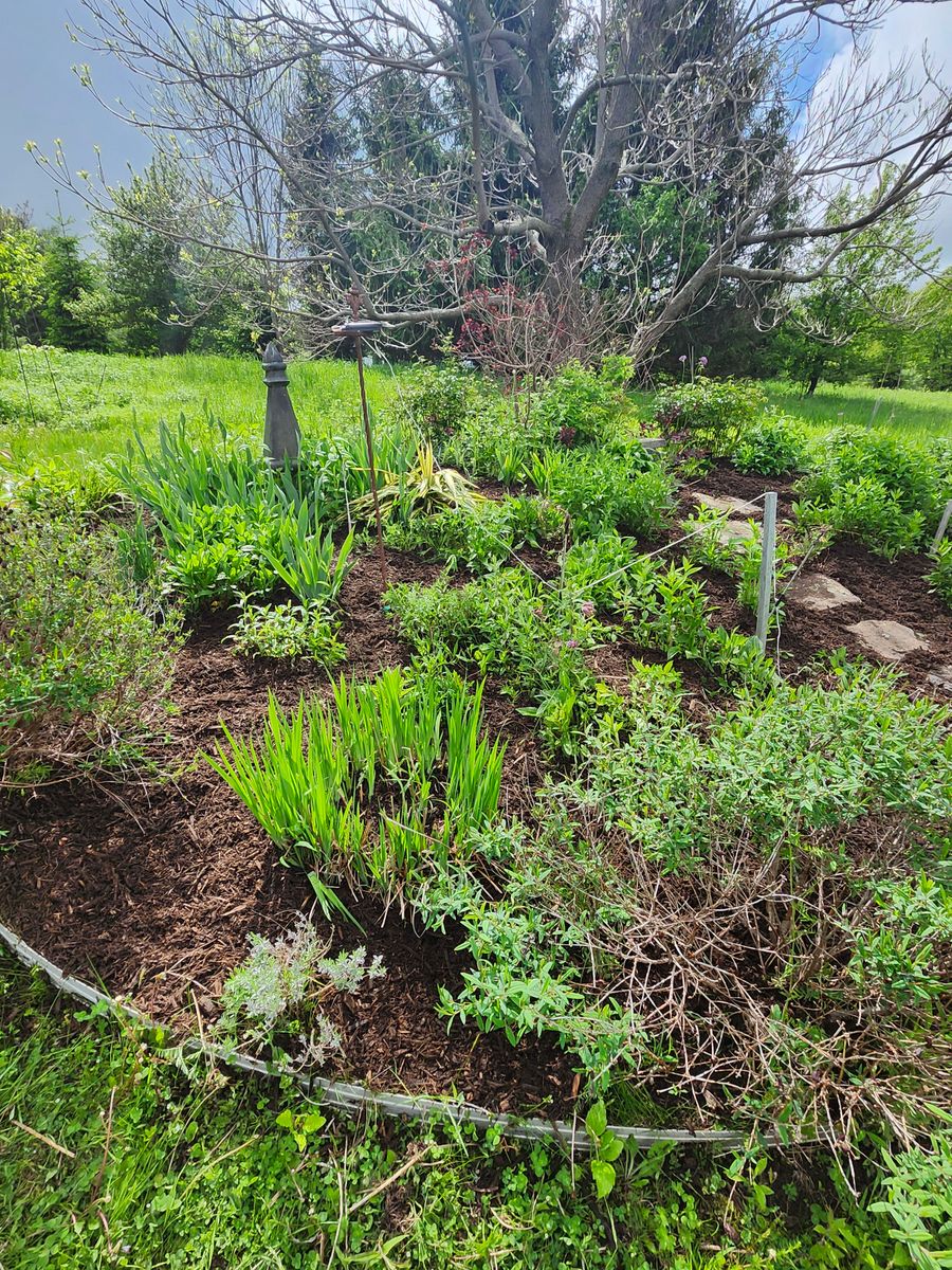 Landscape Installation for Landscape Innovations LLC in Torrington, CT