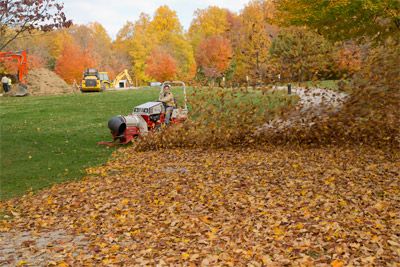 Fall Clean Up for Trim Seasonal Services in Milwaukee, WI