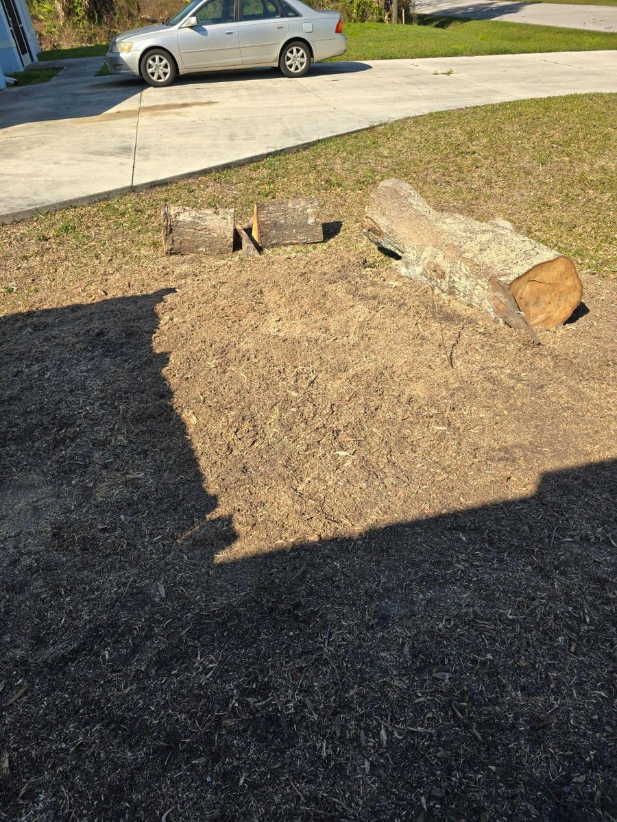 Land Clearing for Nick of Time Tree Service in North Port, FL