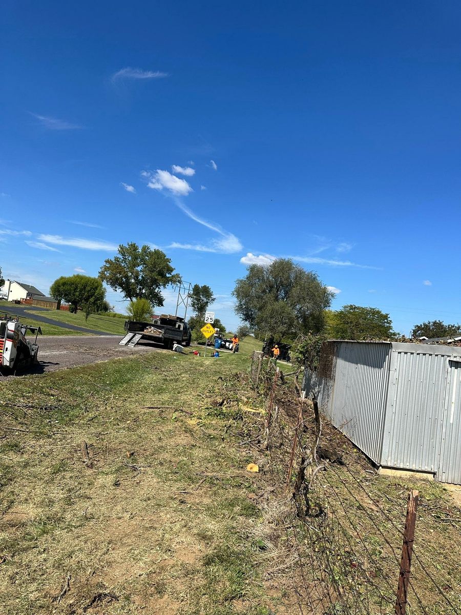 Land Clearing for Cross Family Tree Service in Kearney, MO