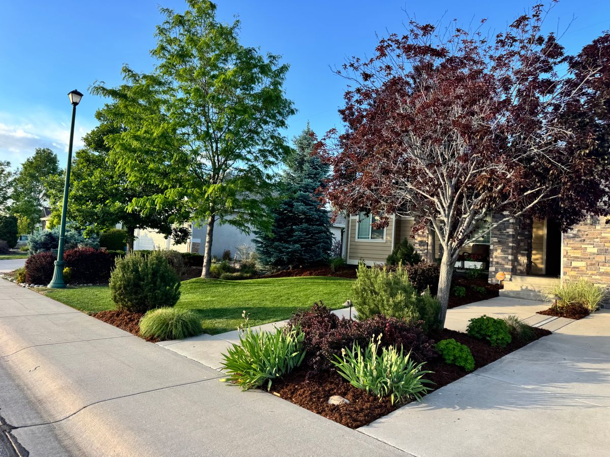Lawn Maintenance for Rock Masters Inc. in Evans, CO