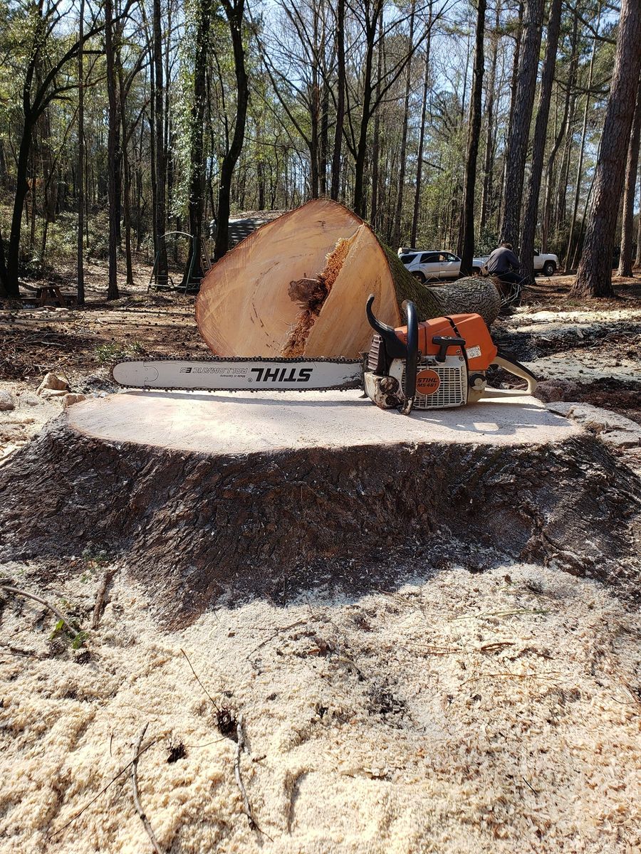 Stump Removal for ArborMax in Thomaston, GA