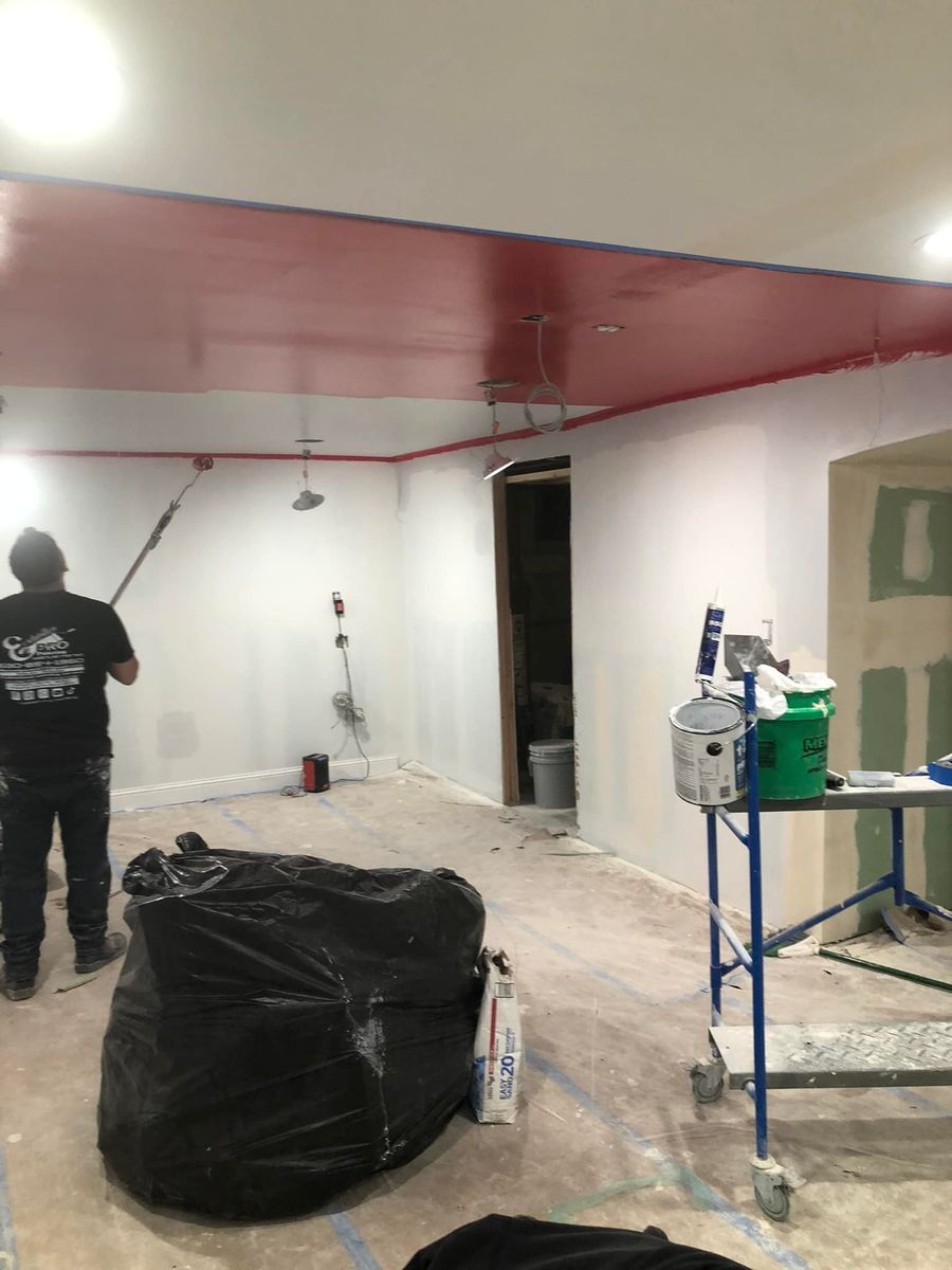 Interior Painting for Ecxivition Pro Painting in Braidwood,  IL