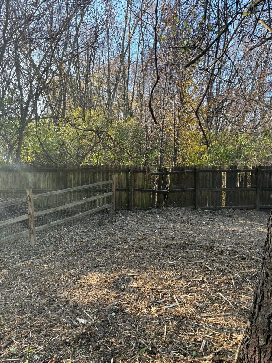 Fall Clean Up for Dig-It Tree Company in Mason, OH