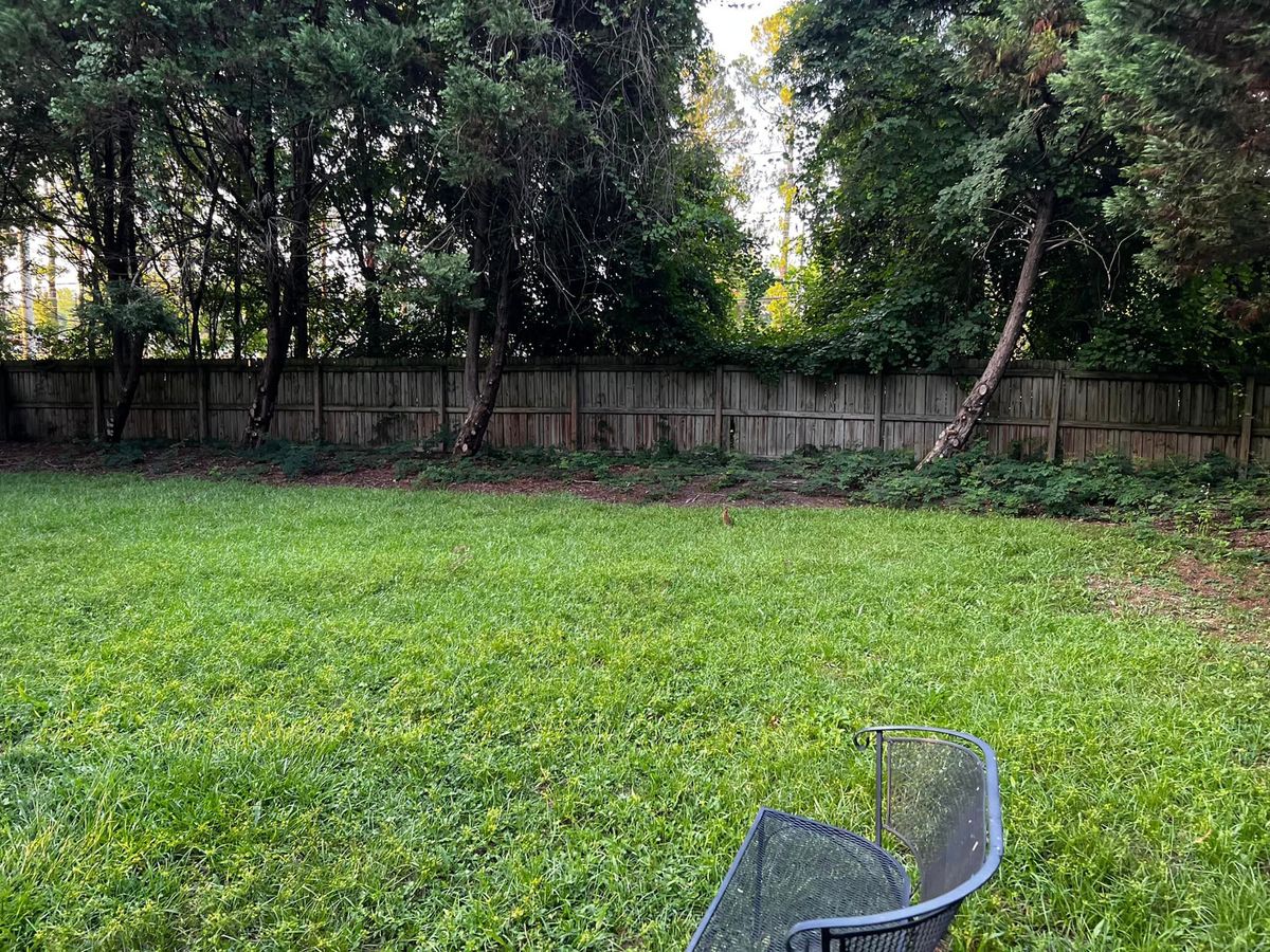 Fall and Spring Clean Up for Marco's Lawn Care LLC in Greenville, NC