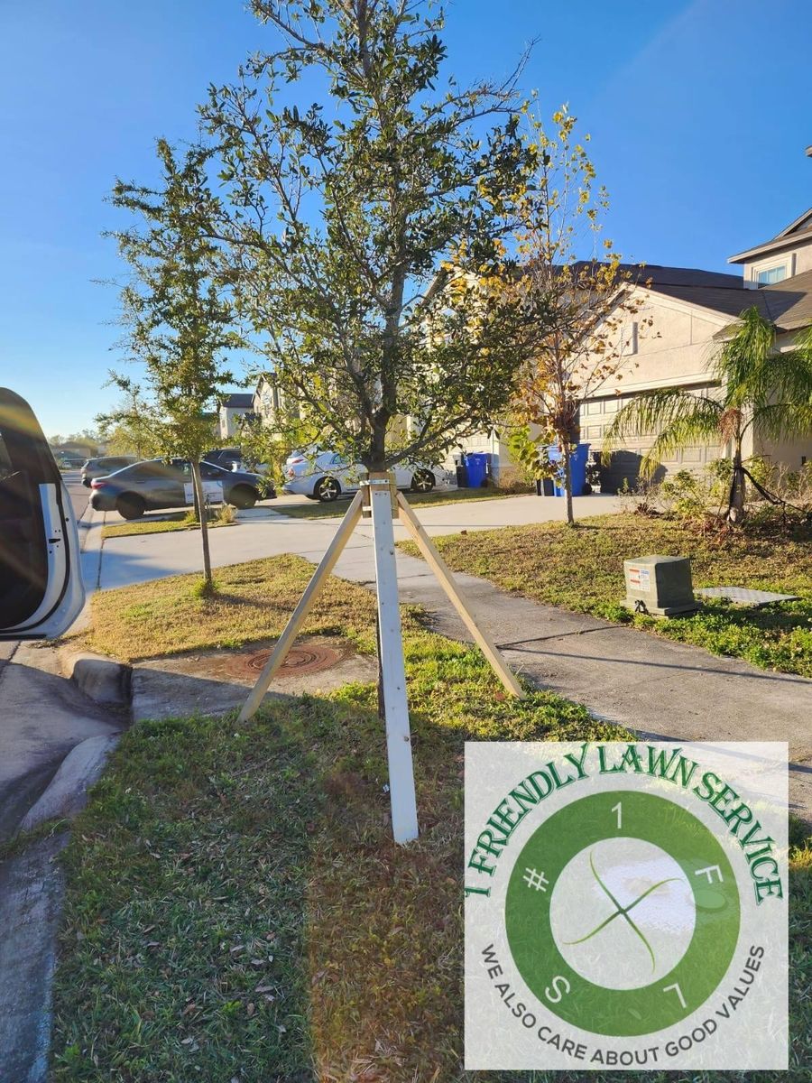 Seasonal Landscape Cleanup for 1 Friendly Lawn Service  in Tampa, FL