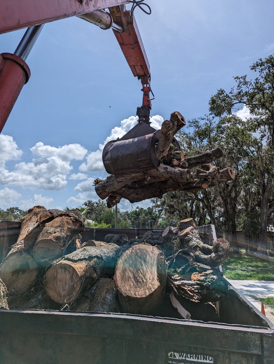 Debris Removal for Regal Tree Service and Stump Grinding in Wauchula, FL
