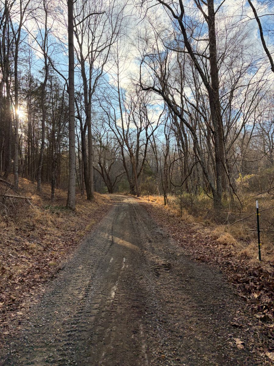 Site Prep for 9999 Building and Renovation LLC in Warrenton, VA