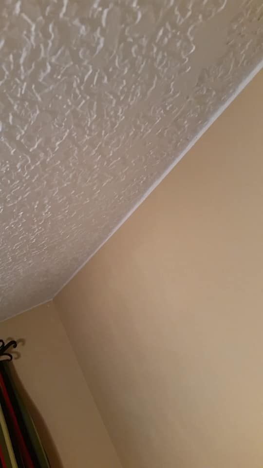 Interior Painting for All-Star Wall Remodeling in Orlando, FL